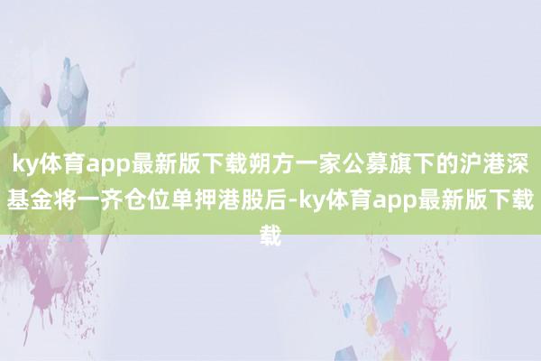 ky体育app最新版下载朔方一家公募旗下的沪港深基金将一齐仓位单押港股后-ky体育app最新版下载