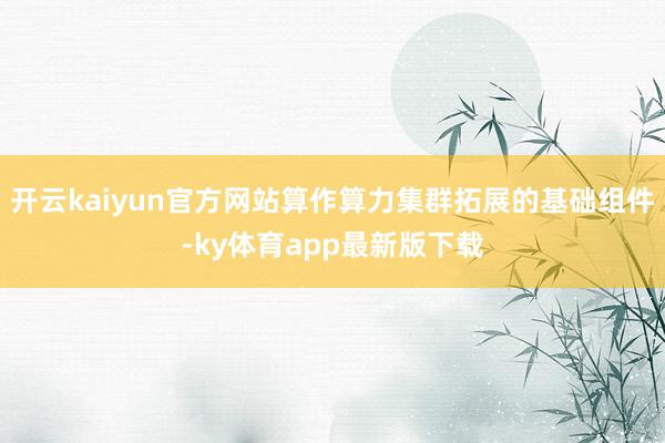 开云kaiyun官方网站算作算力集群拓展的基础组件-ky体育app最新版下载