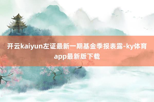 开云kaiyun左证最新一期基金季报表露-ky体育app最新版下载