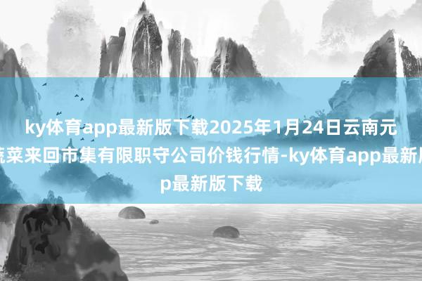 ky体育app最新版下载2025年1月24日云南元谋县蔬菜来回市集有限职守公司价钱行情-ky体育app最新版下载