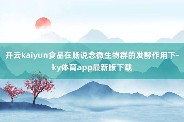 开云kaiyun食品在肠说念微生物群的发酵作用下-ky体育app最新版下载