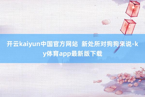 开云kaiyun中国官方网站  新处所对狗狗来说-ky体育app最新版下载